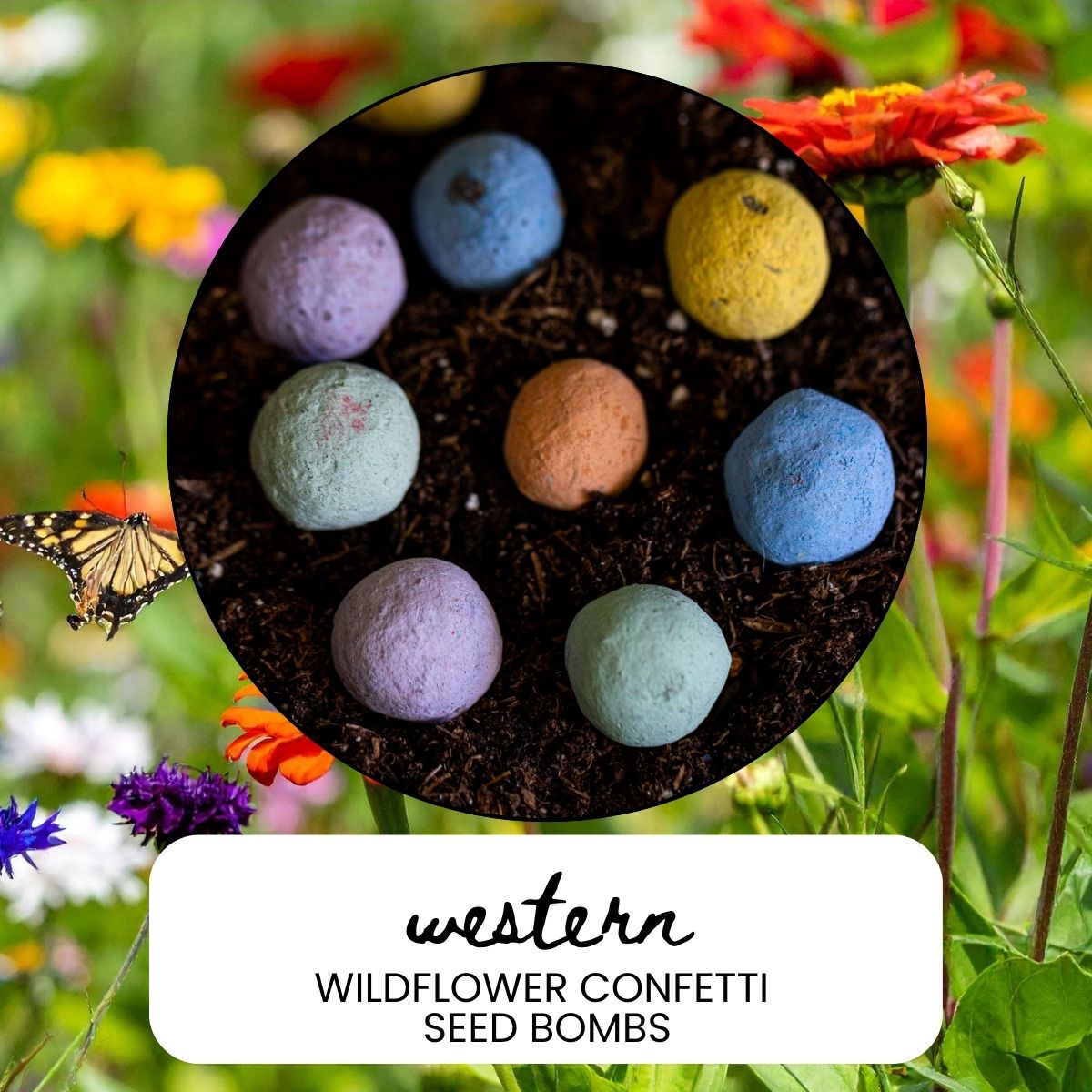bc wildflower seeds Western Wildflower Garden Confetti Seed Balls – Garden & Grove