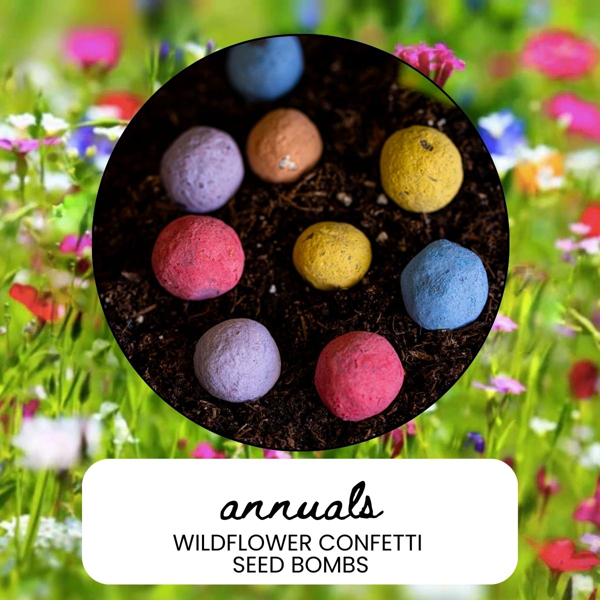 Annual Wildflower Garden Confetti Seed Balls – Garden & Grove
