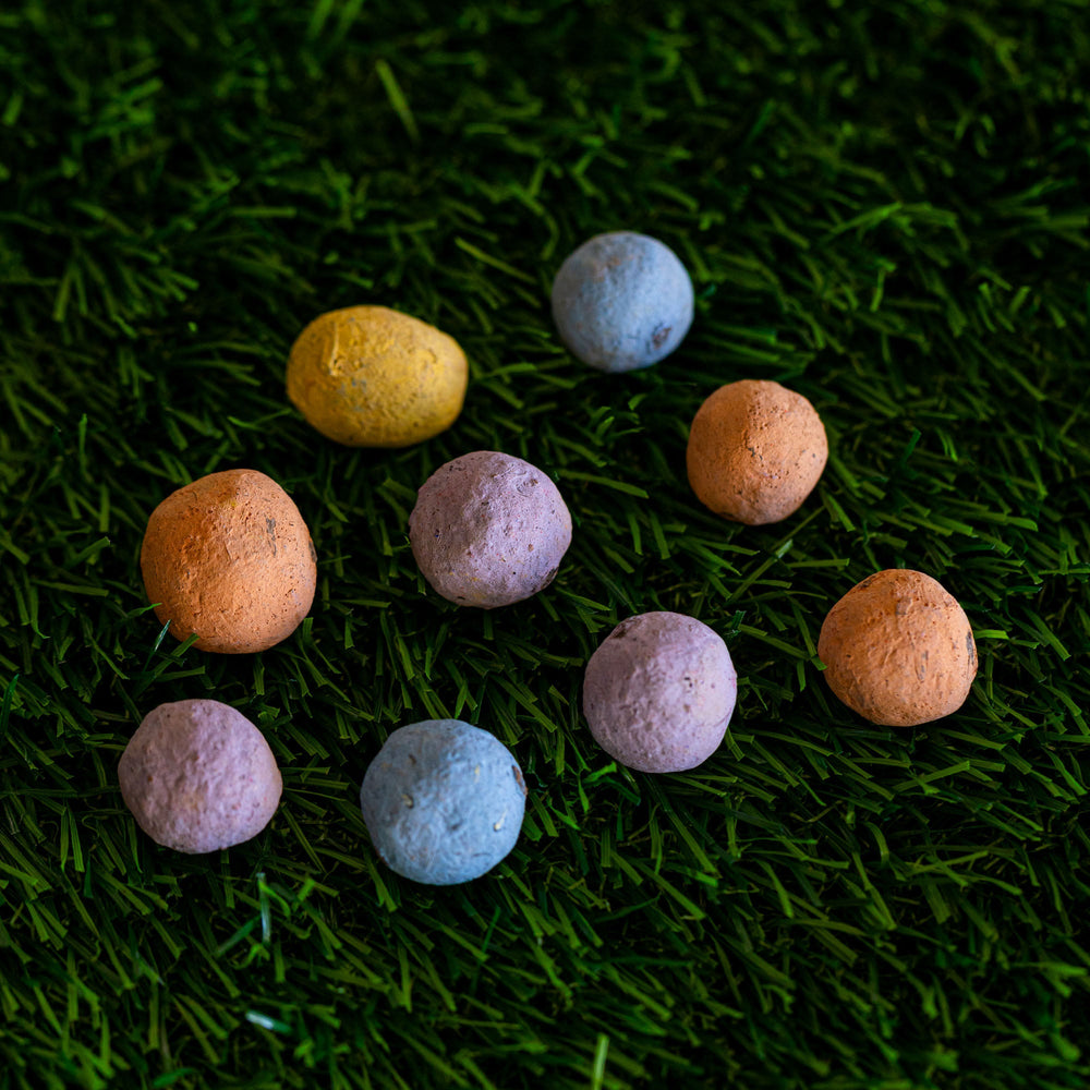 Regional Wildflower Garden Confetti Seed Bombs