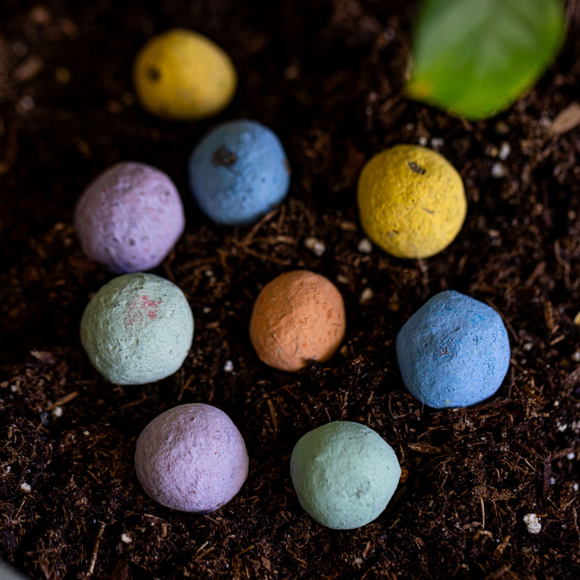 Wildflower Garden Confetti Seed Bombs