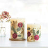 Accent Botanical Candle - Winterberry Frost