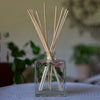 Accent Botanical Reed Diffuser - Apricot Rose