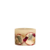 Petite Botanical Candle - Spicy Apple