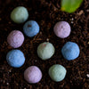 Hummingbird & Butterfly Pollinator Wildflower Garden Confetti Seed Balls