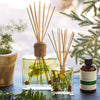 Accent Botanical Reed Diffuser - Forest