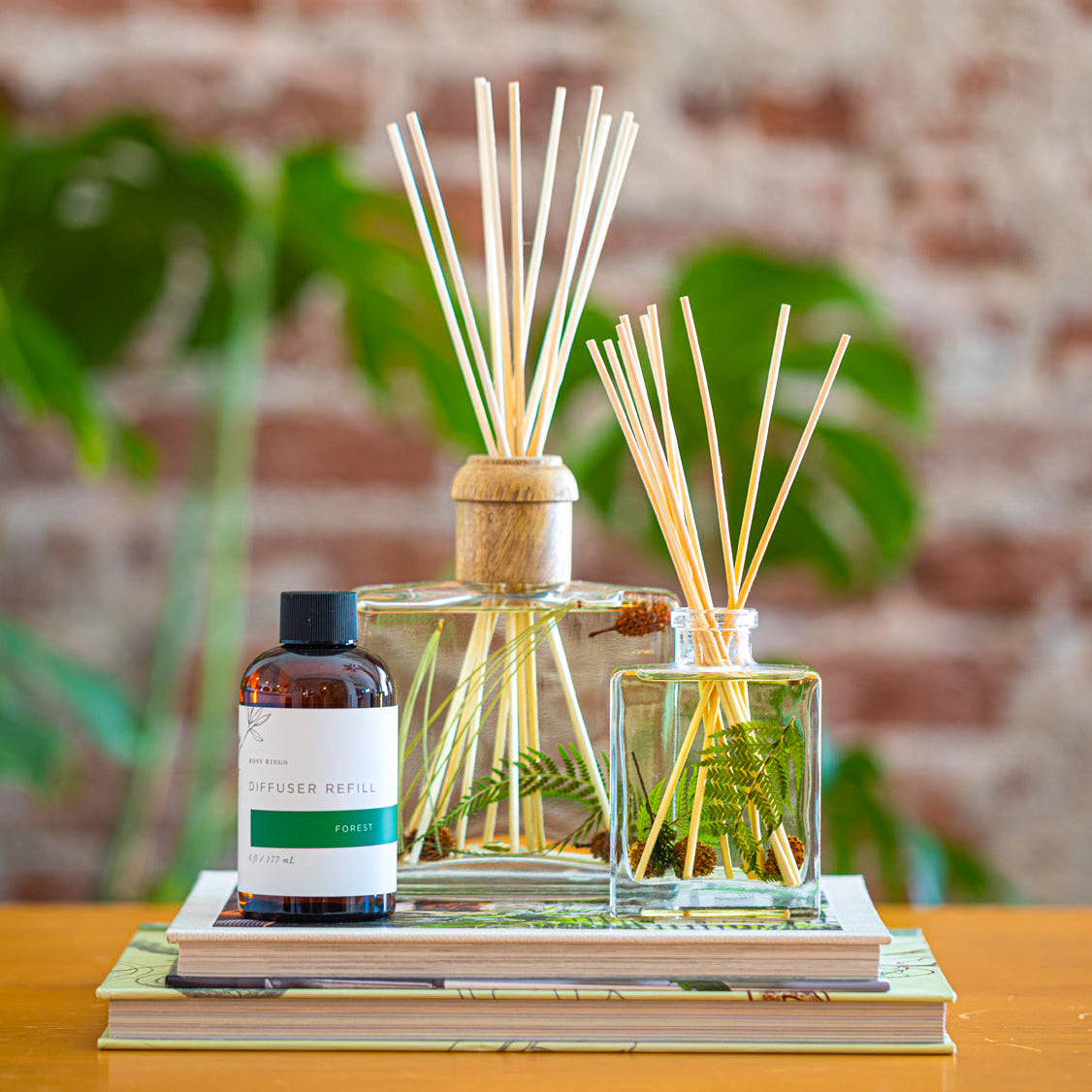 Accent Botanical Reed Diffuser - Forest