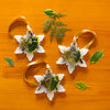 Forest Snowflake Botanical Sachet
