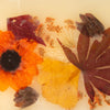 Signature Botanical Reed Diffuser - Harvest Pumpkin