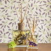 Accent Botanical Reed Diffuser - Roman Lavender
