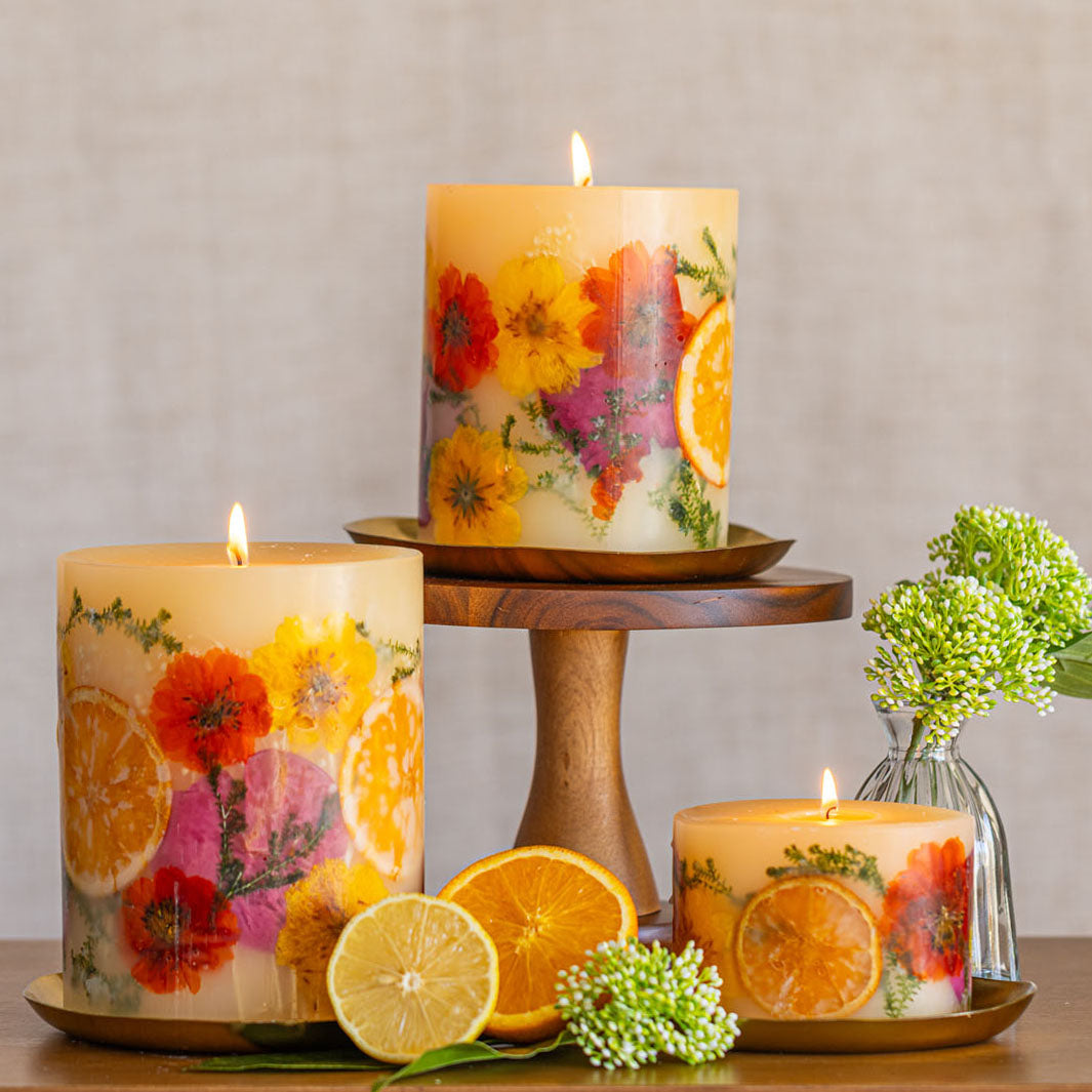 Petite Botanical Candle - Sugared Citrus – Garden & Grove