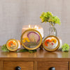Accent Pressed Floral Candle - Accent Pressed Floral Candle - Sugared Citrus