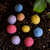 Annual Wildflower Garden Confetti Seed Balls