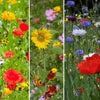 Annual Wildflower Garden Confetti Seed Balls