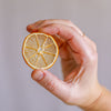 Dried Lemon Slices