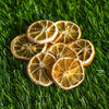 Dried Lemon Slices