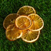 Dried Orange Slices