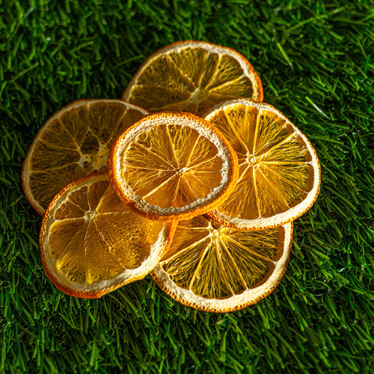 Dried Orange Slices