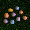 Drought-Tolerant Wildflower Garden Confetti Seed Balls
