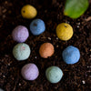Drought-Tolerant Wildflower Garden Confetti Seed Balls