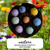 Western Wildflower Garden Confetti Seed Balls