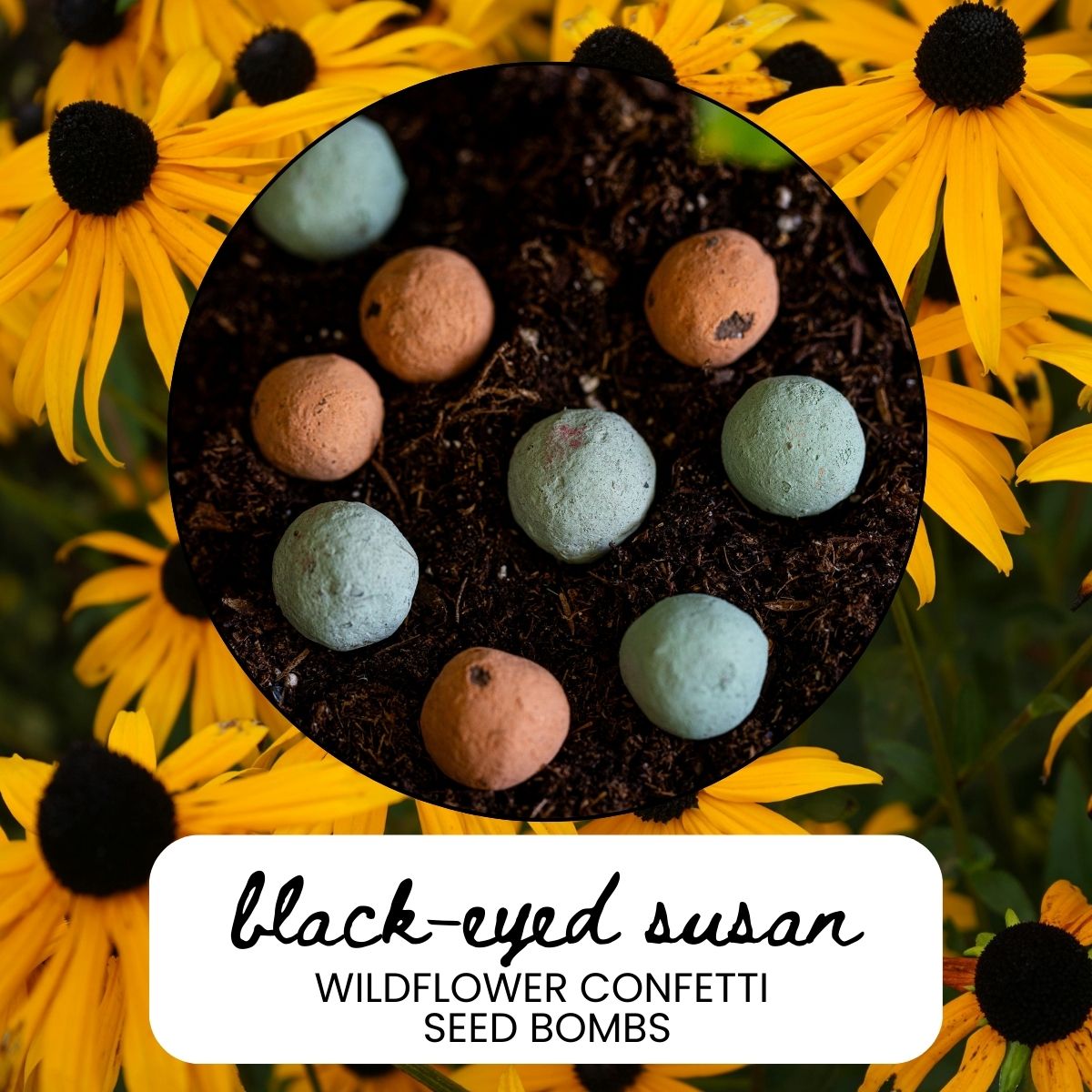 Black-Eyed Susan Wildflower Garden Confetti Seed Balls