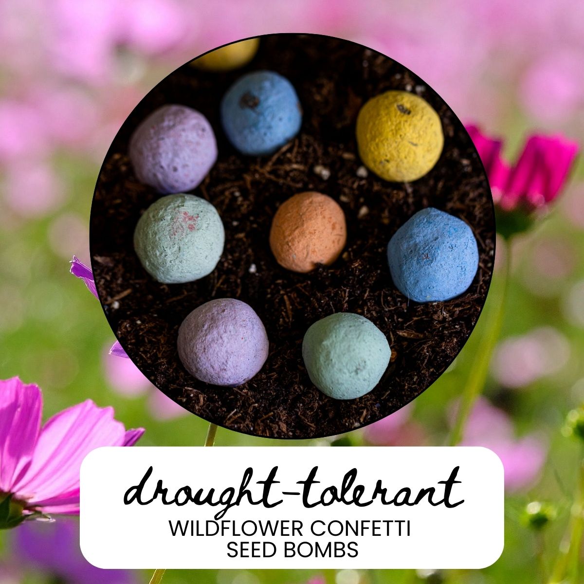 Drought-Tolerant Wildflower Garden Confetti Seed Balls