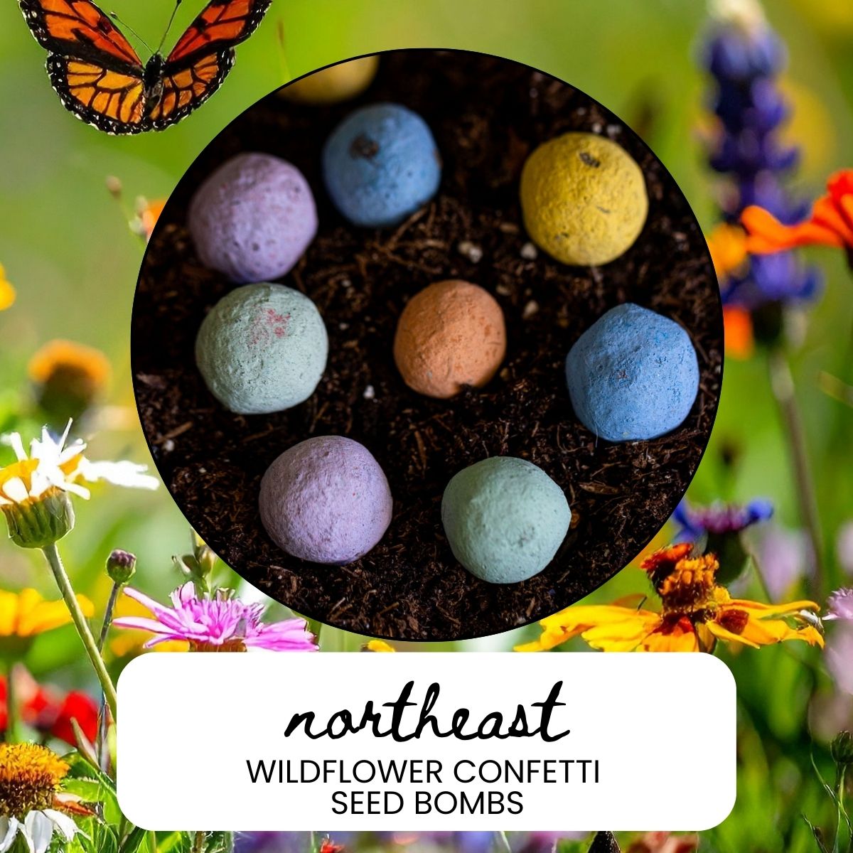 Northeast Wildflower Garden Confetti Seed Balls