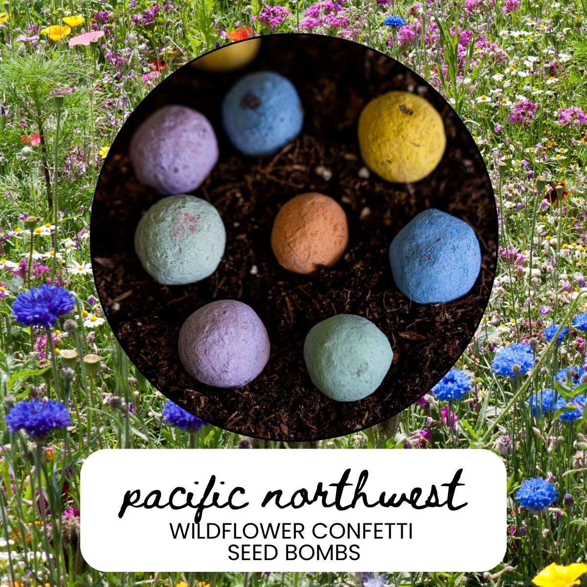 Pacific Northwest Wildflower Garden Confetti Seed Balls