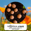 California Poppy Wildflower Garden Confetti Seed Balls