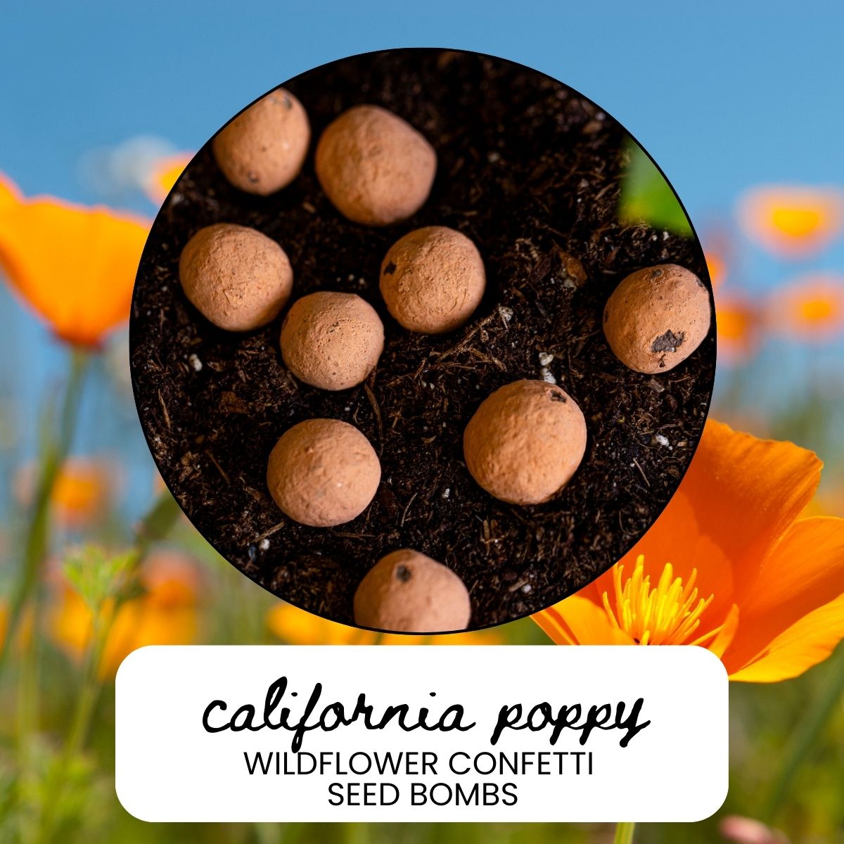 California Poppy Wildflower Garden Confetti Seed Balls