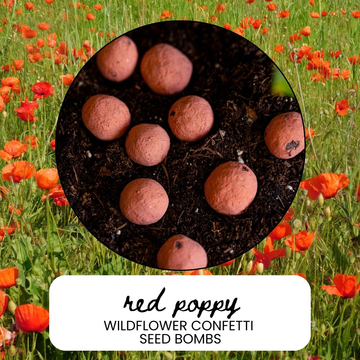 Red Poppy Wildflower Garden Confetti Seed Balls