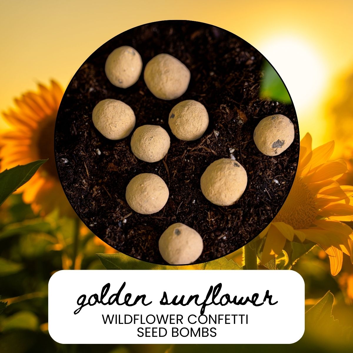 Golden Sunflower Wildflower Garden Confetti Seed Balls